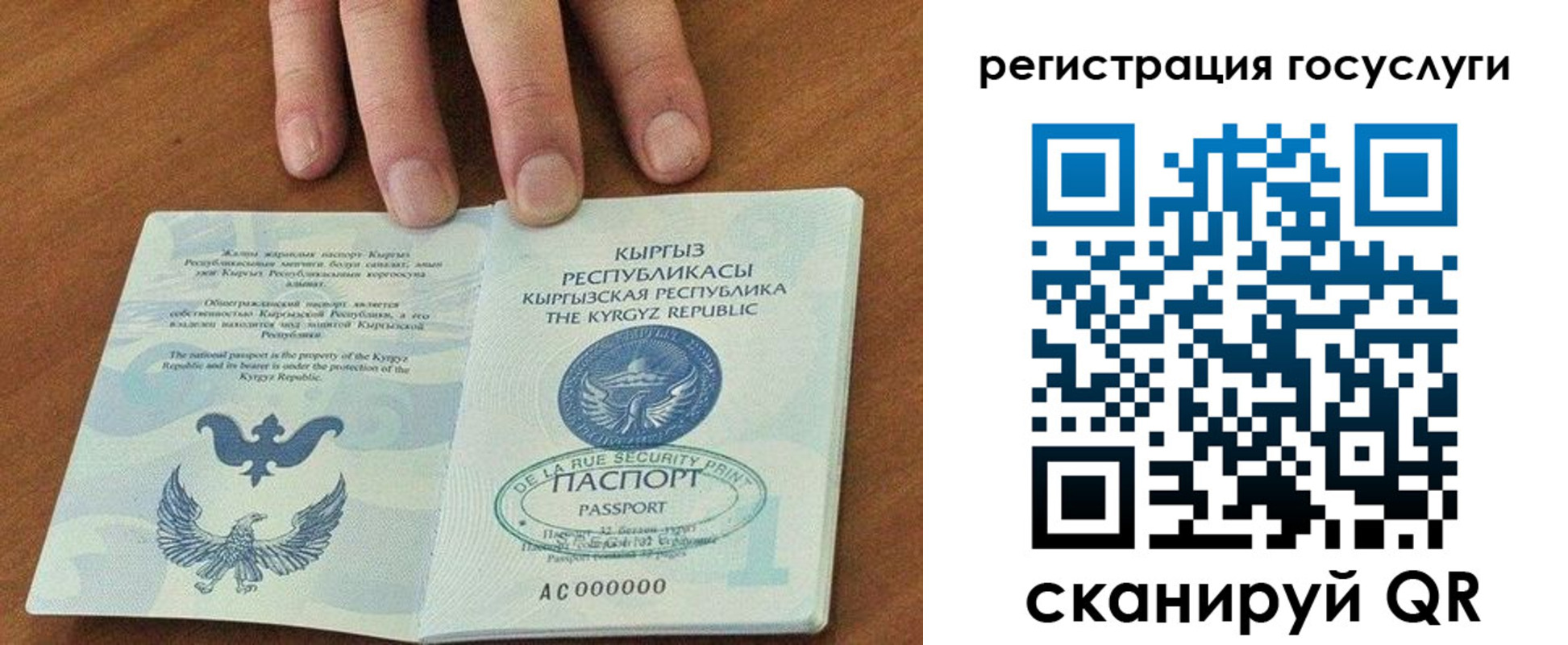 прописка ребенка в Волчанске